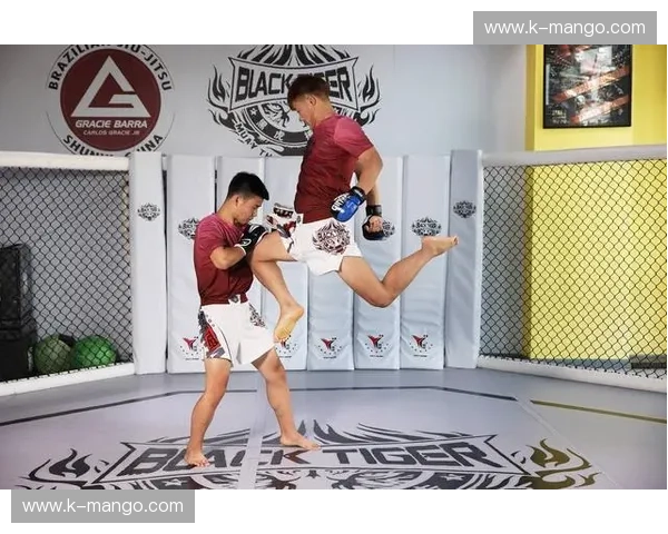 综合格斗球杆：力量与优雅的全新融合